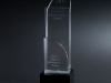 Supplier Achievement Award